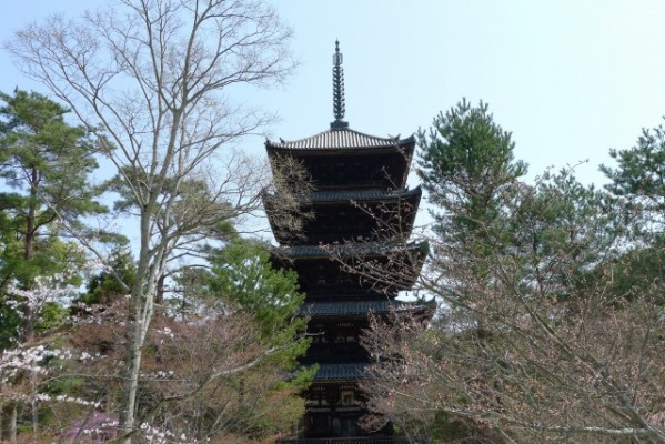 仁和寺　の　五重の塔