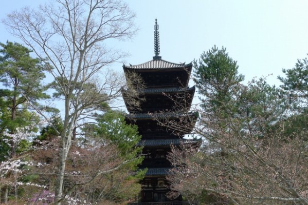 仁和寺　の　五重の塔