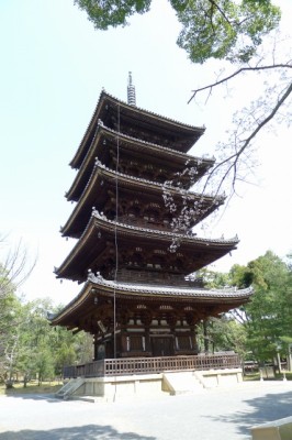 仁和寺　の　五重の塔と桜