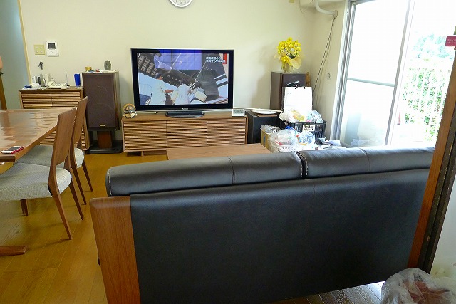 カリモク人気のソリッドボード（TV）とソファーZU4862R353