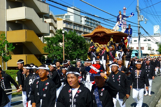 ２０１３　１０月　岸和田だんじり祭り　試験引き　中井町