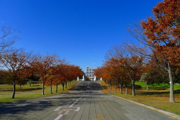 岸和田中央公園の正面道路