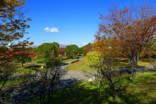 岸和田中央公園の散策コース