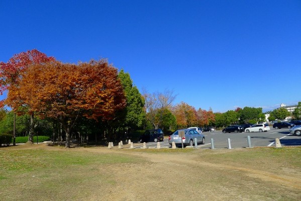 岸和田中央公園の駐車場