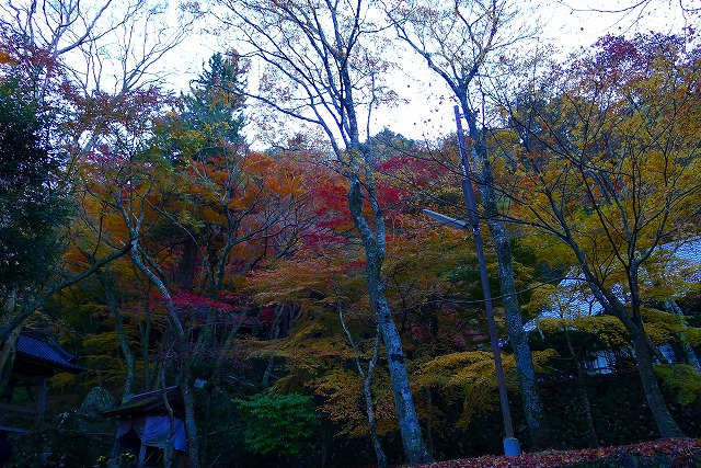 大威徳寺の境内紅葉