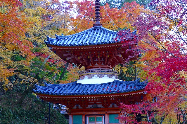 大威徳寺の多宝塔（国の重要文化財）紅葉