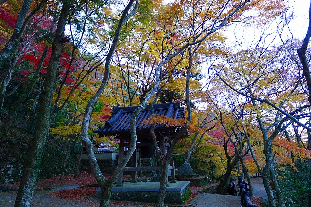 大威徳寺の鐘楼と紅葉