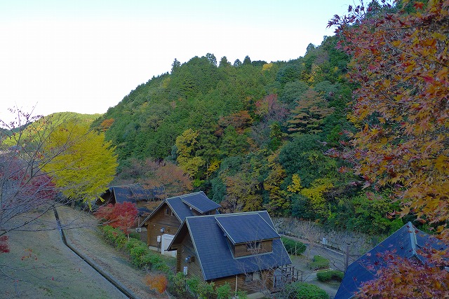 秋のいよやかの郷のロッジ