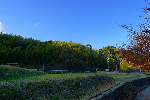 のどかな山の風景