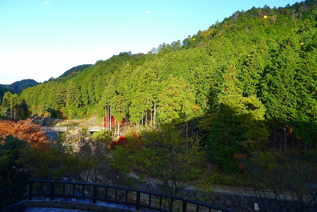 和（なごみ）カフェから見える山の景色