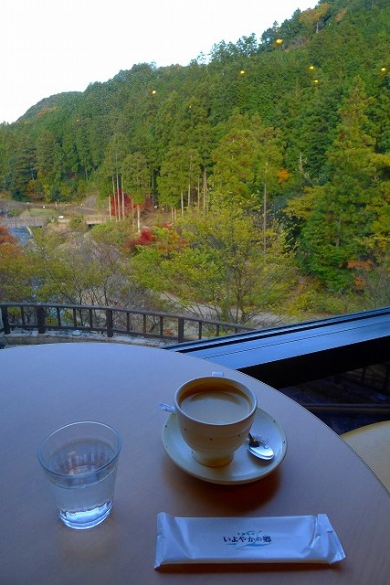 石釜有機豆のコーヒーと窓から見える風景