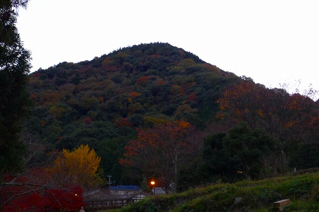 夕暮れの岸和田の山の紅葉