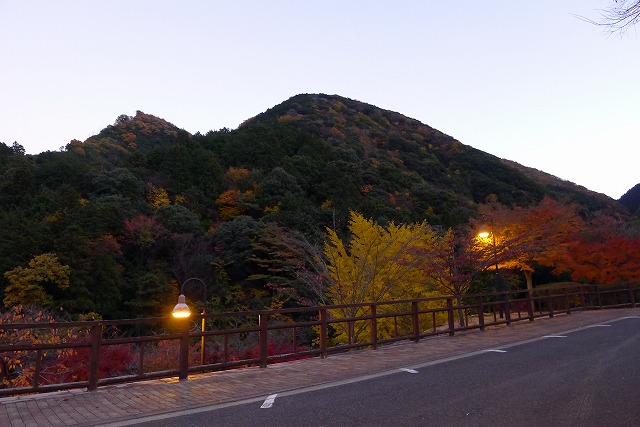 駐車場から見た夕暮れの紅葉（もみじ）と山