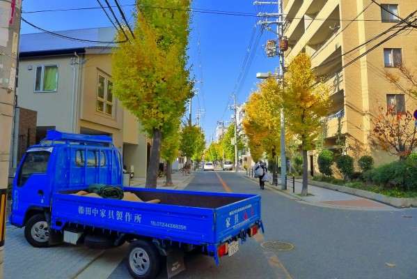 大阪市の銀杏並木