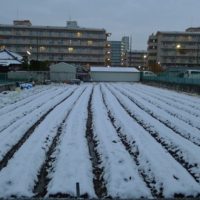 雪の中静岡へウォールナットの洋服ハイチェストとカリモクプレミアムオーダー家具をお届けいたしました。