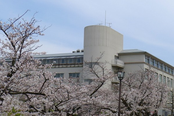 岸和田高校の桜