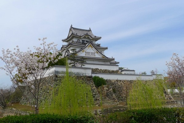 岸和田城の桜　４