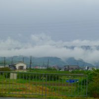 昨日の雨でちょっと綺麗な泉州の山の景色