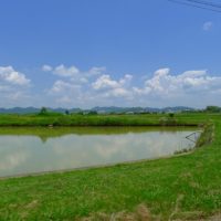 兵庫県のＡ様にカリモク家具をお届けいたしました。