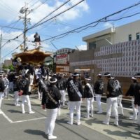 2014年岸和田だんじり祭り　試験引きがございました。