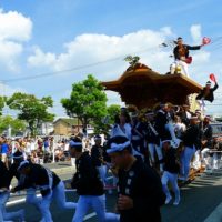 明日からいよいよ２０１４年　岸和田だんじり祭りが始まります。