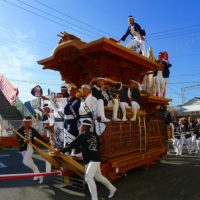 岸和田だんじり祭りの為19日20日はお休みになります。