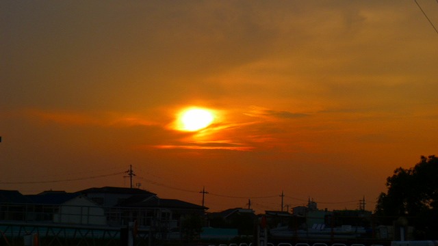 P1150110