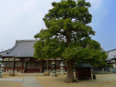 西福寺