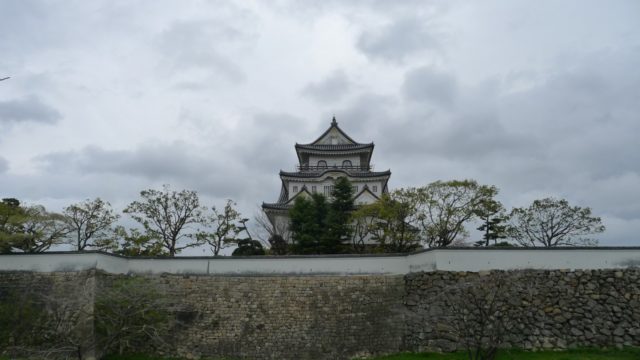 ２０１５年　岸和田城の桜　２１