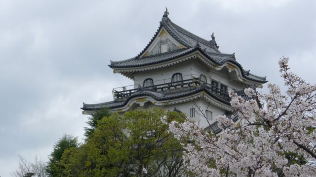 ２０１５年　岸和田城の桜　２５