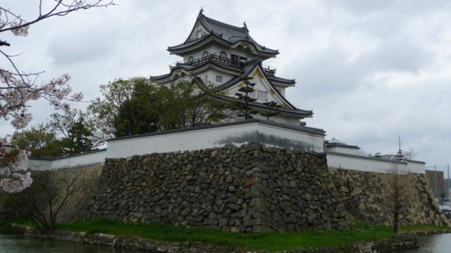 ２０１５年　岸和田城の桜　２８