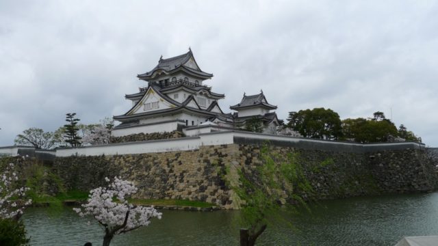 ２０１５年　岸和田城の桜　２９