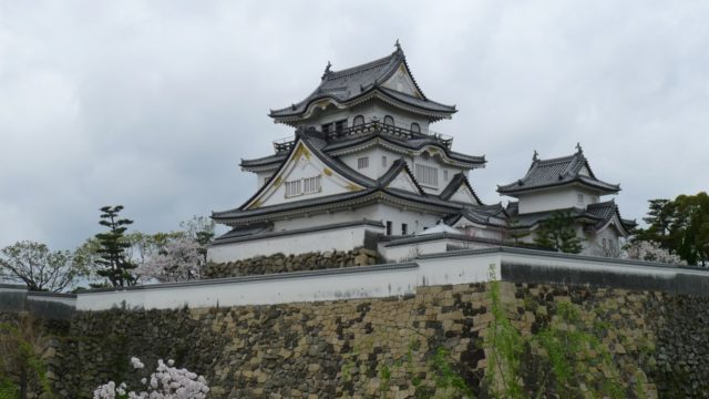 ２０１５年　岸和田城と桜