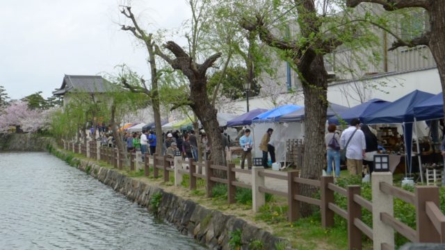 ２０１５年　岸和田の物産展　１