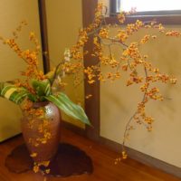 桐箪笥の社長ブログの問題です。お客様のご自宅に伺いましたらこのお花が飾っておられました。さて何という名前でしょう。