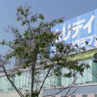 桐が大好きな桐箪笥の社長ブログ　ホリデイスポーツクラブ泉大津店のこれは非常に悲しい出来事でした。