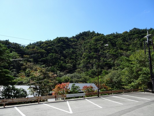 こだわりの桐箪笥の社長ブログ　芦屋の自動販売機は・・・