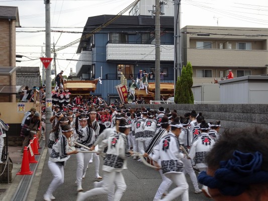 泉大津　かちあい祭