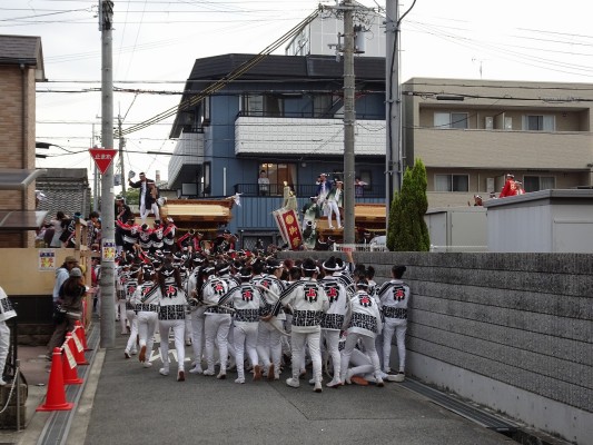 泉大津　かちあい祭