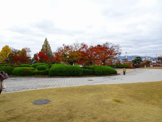 京都国立博物館 の新館から見た中庭