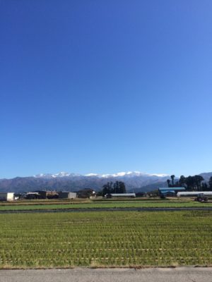伝統工芸品月間 (26)