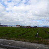 滋賀県東近江市のG様に初音の総桐箪笥　焼桐衣装箪笥をお届けいたしました。