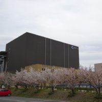 こだわりの桐タンスの社長ブログ　岸和田カンカンベイサイドモールの桜！