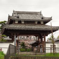 こだわりの桐タンスの社長ブログ　２０１６年　久米田池の花ちらしの風と雨！