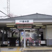 こだわり桐たんすの社長ブログ　一番思い出の桜は、南海本線　春木駅の桜の花！