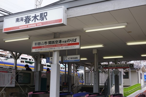 南海本線　春木駅の下り（和歌山方面）の桜