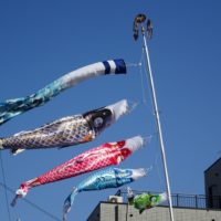 こだわりの桐箪笥の社長ブログ　最近では泉州地域でも鯉のぼりを見かけなくなりました。
