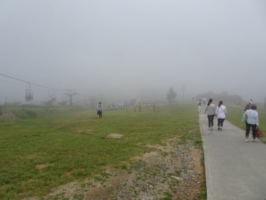 DSC00605