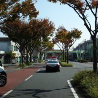 こだわりの桐箪笥の社長ブログ　進みゆく秋の紅葉・・・・この車には絶対のりたくないですね！