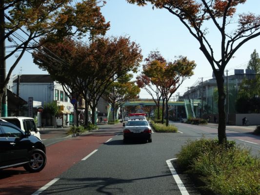 紅葉とパトカー